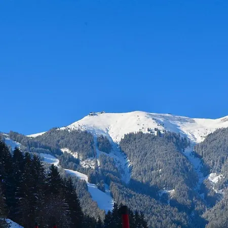בית נופש Mit Sauna Und Sommergastekarte Zell Am